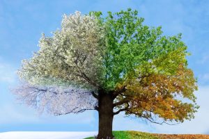 Supporting Borderline Personality Disorder: Clinical Insights and Effective Intervention